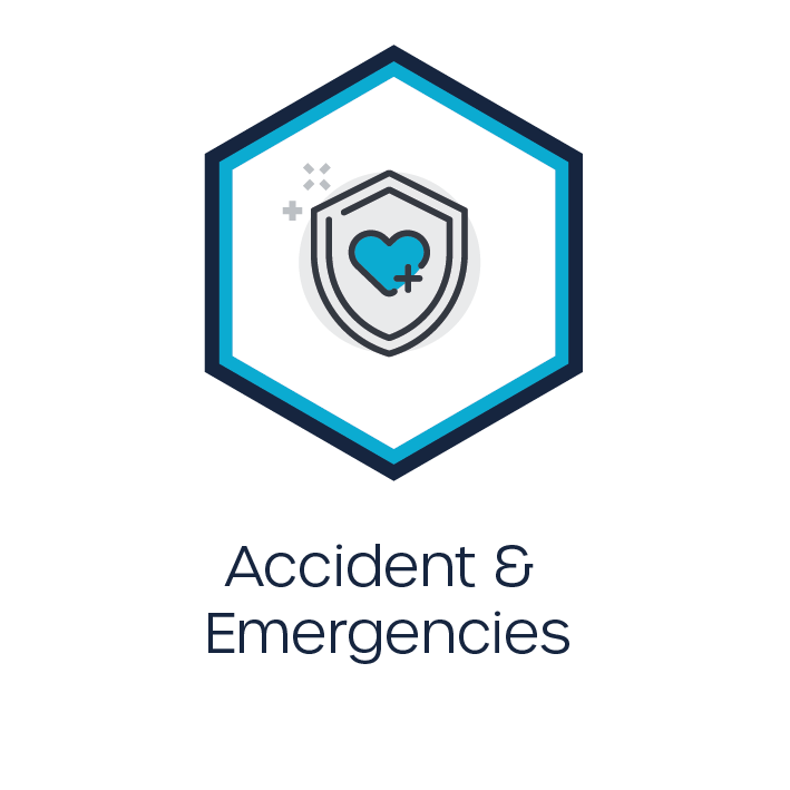 Critical Event Accident & Emergencies