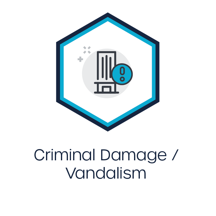Critical Event Criminal Damage / Vandalism