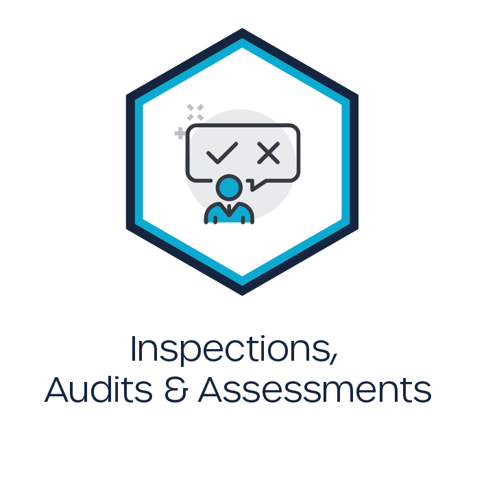Critical Event_Inspections, Audits & Assessments